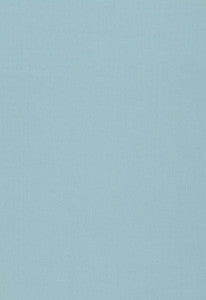 Isolde Cotton Weave Bristol 64385 by Schumacher Fabric