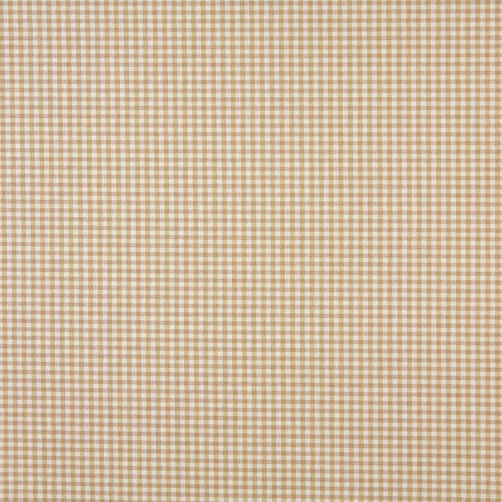 6443 Sand by Charlotte Fabric Ring Book Page #60 64% Acrylic, 36% Polyester Made In USA Exceeds 70,000 Wyzenbeek Rubs (Heavy Duty) Horizontal: 0.50" x Vertical: 0.5" 54 Inches - Fabric Carolina -