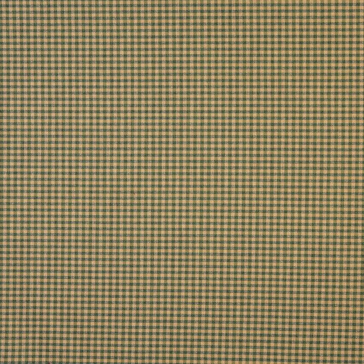 6444 Juniper by Charlotte Fabric Ring Book Page #60 64% Acrylic, 36% Polyester Made In USA Exceeds 70,000 Wyzenbeek Rubs (Heavy Duty) Horizontal: 0.50" x Vertical: 0.5" 54 Inches - Fabric Carolina -