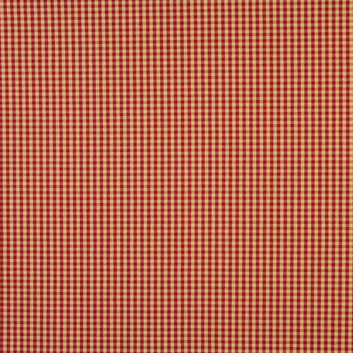 6446 Ruby by Charlotte Fabric Ring Book Page #60 64% Acrylic, 36% Polyester Made In USA Exceeds 70,000 Wyzenbeek Rubs (Heavy Duty) Horizontal: 0.50" x Vertical: 0.5" 54 Inches - Fabric Carolina -