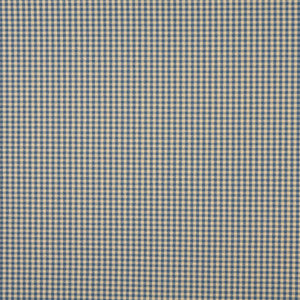 6447 Wedgewood by Charlotte Fabric