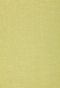 Gweneth Linen Fern 64495 by Schumacher Fabric