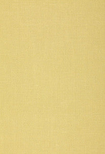 Gweneth Linen Limeade 64496 by Schumacher Fabric