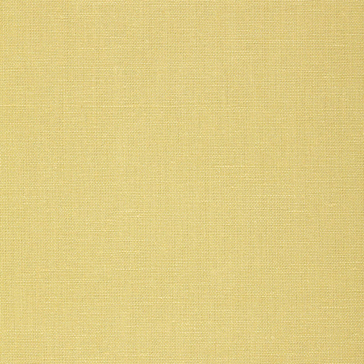 Gweneth Linen Limeade 64496 by Schumacher Fabric ESSENTIAL PLAINS / LINEN & COTTON See Sample BELGIUM HEAVY DUTY </p><p>Repeat: Horizontal: - and Vertical: - 55" WIDE (140CM) - Fabric Carolina -