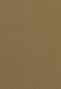 Tristan Cotton Weave Umber 64501 by Schumacher Fabric