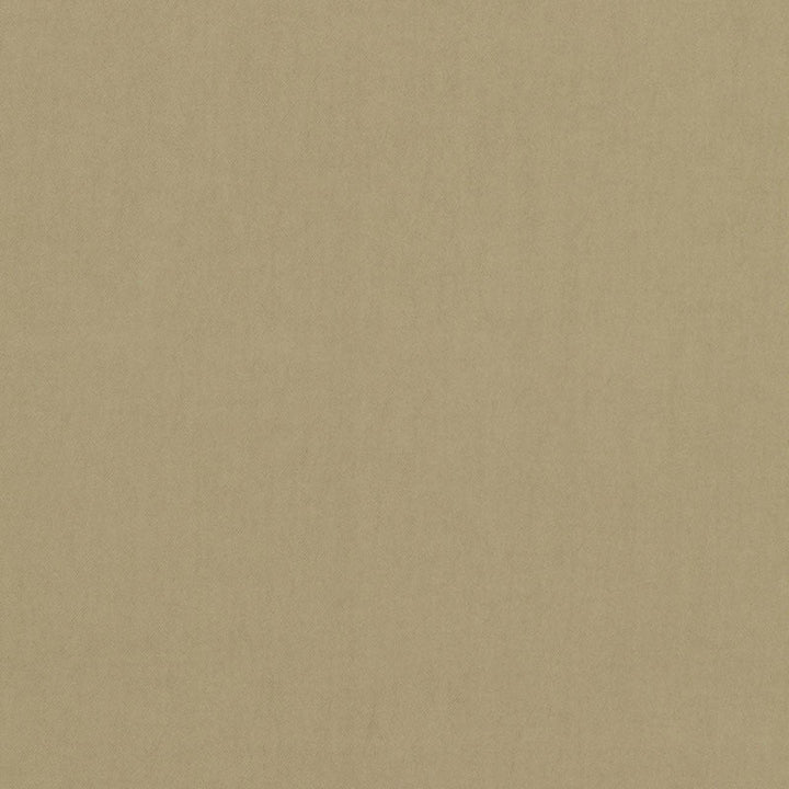 Tristan Cotton Weave Chickory 64502 by Schumacher Fabric Schumacher Fabric Tristan Cotton Weave Chickory 64502Fabric COTTON 100% ITALY </p><p>Repeat: H: 0, V: 0 54 - Fabric Carolina -