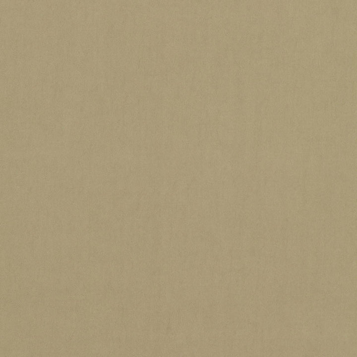 Tristan Cotton Weave Chickory 64502 by Schumacher Fabric ESSENTIAL PLAINS / LINEN & COTTON See Sample ITALY . </p><p>Repeat: Horizontal: - and Vertical: - 54" WIDE (137CM) - Fabric Carolina -