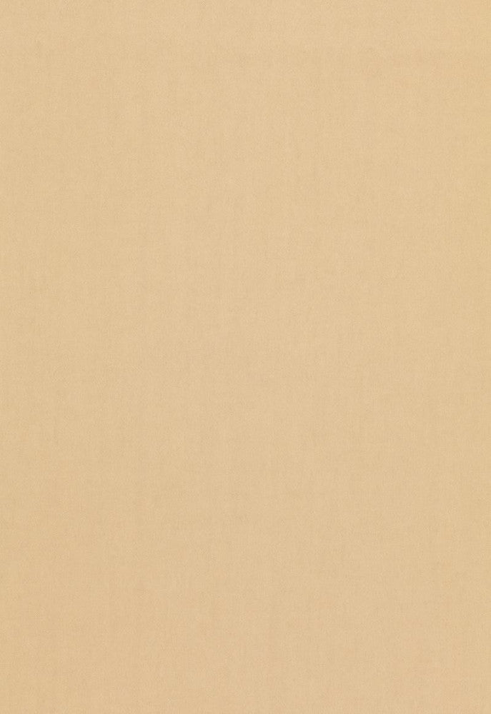 Tristan Cotton Weave Toast 64504 by Schumacher Fabric COLLECTION-NAME-TBA-64500 100% Cotton Martindale 15,000 Horizontal: - and Vertical: - 54 - Fabric Carolina -