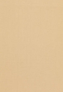 Tristan Cotton Weave Toast 64504 by Schumacher Fabric