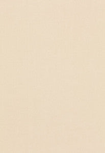 Tristan Cotton Weave Oat 64505 by Schumacher Fabric