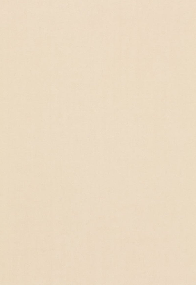 Tristan Cotton Weave Oat 64505 by Schumacher Designer Fabric COLLECTION-NAME-TBA-64500 100% Cotton Martindale 15,000 Horizontal: - and Vertical: - 54 - Swanky Fabrics -
