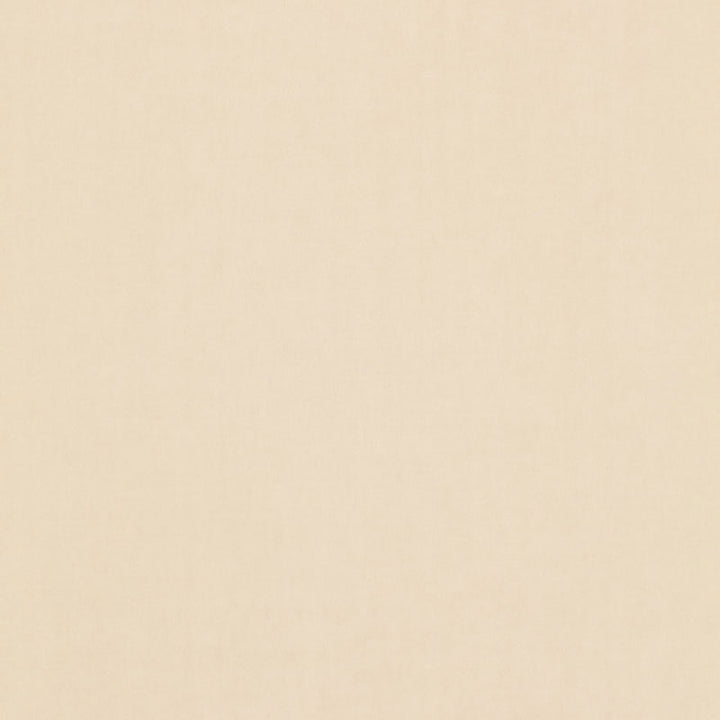 Tristan Cotton Weave Oat 64505 by Schumacher Fabric ESSENTIAL PLAINS / LINEN & COTTON See Sample ITALY . </p><p>Repeat: Horizontal: - and Vertical: - 54" WIDE (137CM) - Fabric Carolina -