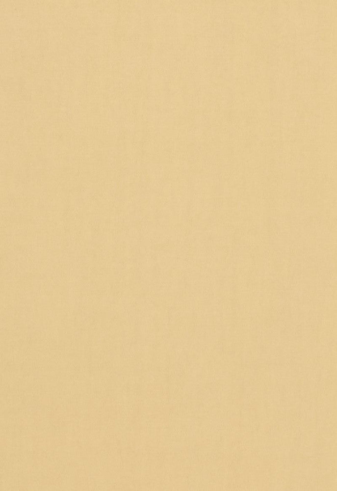 Tristan Cotton Weave Chamois 64508 by Schumacher Fabric COLLECTION-NAME-TBA-64500 100% Cotton Martindale 15,000 Horizontal: - and Vertical: - 54 - Fabric Carolina -