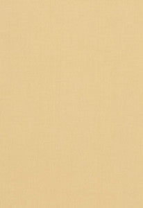 Tristan Cotton Weave Chamois 64508 by Schumacher Fabric