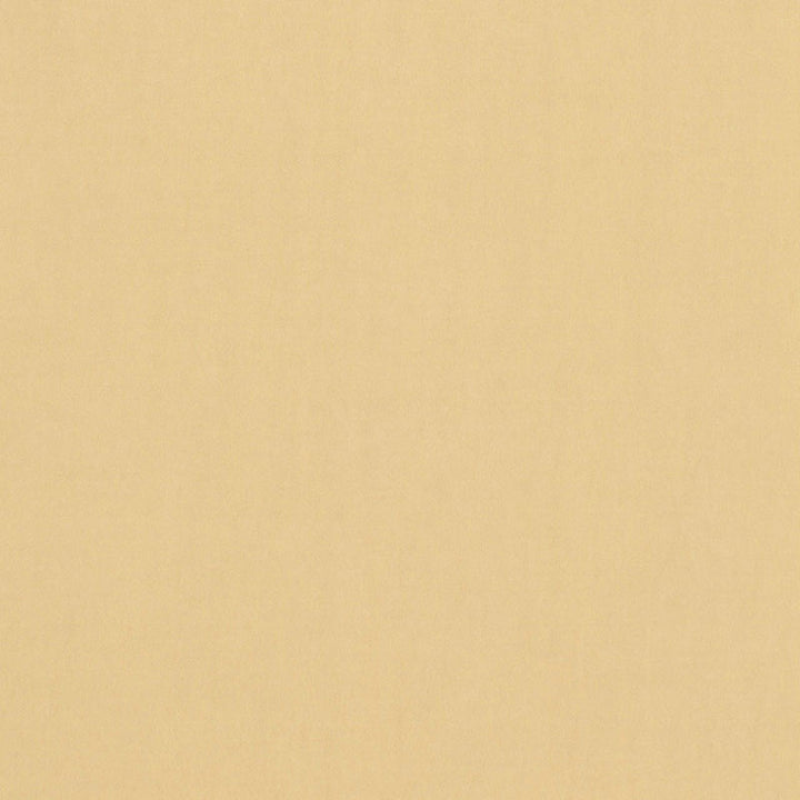 Tristan Cotton Weave Chamois 64508 by Schumacher Fabric ESSENTIAL PLAINS / LINEN & COTTON See Sample ITALY . </p><p>Repeat: Horizontal: - and Vertical: - 54" WIDE (137CM) - Fabric Carolina -