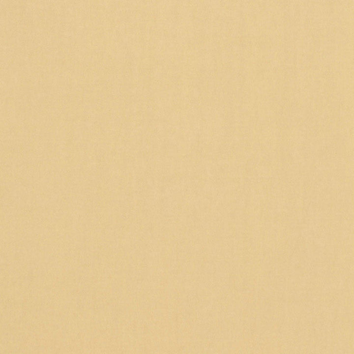 Tristan Cotton Weave Chamois 64508 by Schumacher Fabric Schumacher Fabric Tristan Cotton Weave Chamois 64508Fabric COTTON 100% ITALY </p><p>Repeat: H: 0, V: 0 54 - Fabric Carolina -