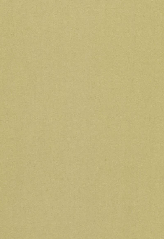Tristan Cotton Weave Sage 64515 by Schumacher Designer Fabric COLLECTION-NAME-TBA-64500 100% Cotton Martindale 15,000 Horizontal: - and Vertical: - 54 - Swanky Fabrics -