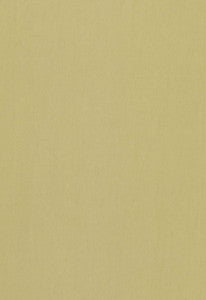Tristan Cotton Weave Sage 64515 by Schumacher Fabric