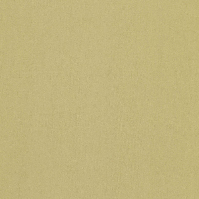 Tristan Cotton Weave Sage 64515 by Schumacher Fabric Schumacher Fabric Tristan Cotton Weave Sage 64515Fabric COTTON 100% ITALY </p><p>Repeat: H: 0, V: 0 54 - Fabric Carolina -