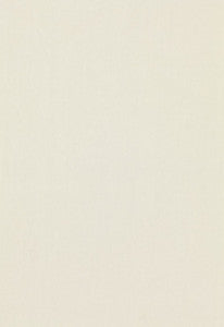 Tristan Cotton Weave Celadon 64516 by Schumacher Fabric
