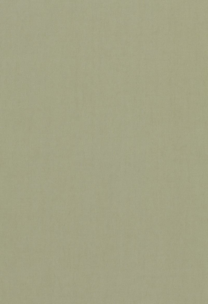 Tristan Cotton Weave Reseda 64517 by Schumacher Fabric COLLECTION-NAME-TBA-64500 100% Cotton Martindale 15,000 Horizontal: - and Vertical: - 54 - Fabric Carolina -