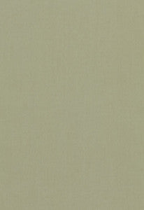 Tristan Cotton Weave Reseda 64517 by Schumacher Fabric