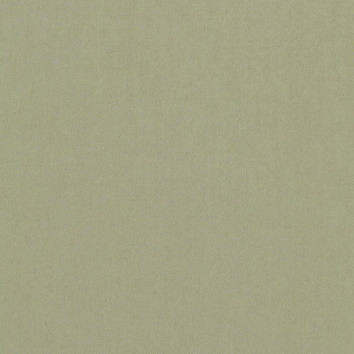 Tristan Cotton Weave Reseda 64517 by Schumacher Fabric ESSENTIAL PLAINS / LINEN & COTTON See Sample ITALY . </p><p>Repeat: Horizontal: - and Vertical: - 54" WIDE (137CM) - Fabric Carolina -