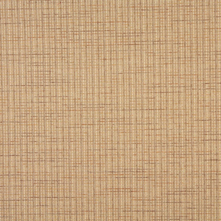 6451 Wheat by Charlotte Fabric Ring Book Page #59 46% Acrylic, 44% Polyester, 10% Olefin Made In USA Exceeds 90,000 Wyzenbeek Rubs (Heavy Duty) No Repeat 54 Inches - Fabric Carolina -