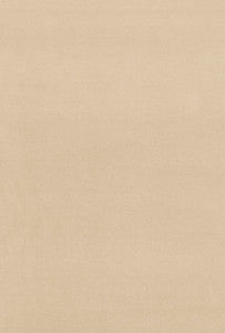 Gainsborough Velvet Bisque 64529 by Schumacher Fabric