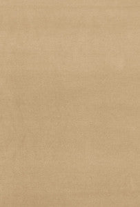Gainsborough Velvet Malt 64531 by Schumacher Fabric