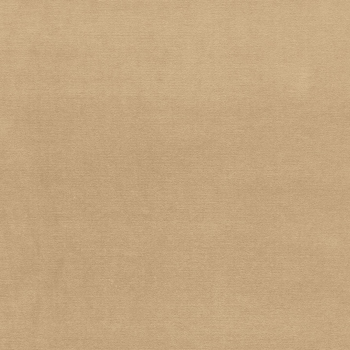 Gainsborough Velvet Malt 64531 by Schumacher Fabric Schumacher Fabric Gainsborough Velvet Malt 64531Fabric COTTON 100% NETHERLANDS </p><p>Repeat: H: , V: 55 - Fabric Carolina -