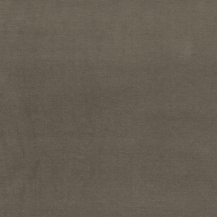Gainsborough Velvet Moleskin 64534 by Schumacher Fabric GAINSBOROUGH VELVET COTTON 100% NETHERLANDS WYZENBEEK 40,000 </p><p>Repeat: Horizontal: and Vertical: 55 - Fabric Carolina -