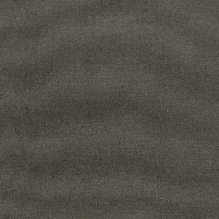 Gainsborough Velvet Carbon 64535 by Schumacher Fabric GAINSBOROUGH VELVET COTTON 100% NETHERLANDS WYZENBEEK 40,000 </p><p>Repeat: Horizontal: and Vertical: 55 - Fabric Carolina -