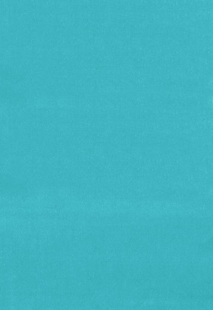 Gainsborough Velvet Pool 64538 by Schumacher Fabric Gainsborough-Velvets 100% Cotton Wyzenbeek 40,000 Horizontal: - and Vertical: - 55 - Fabric Carolina -