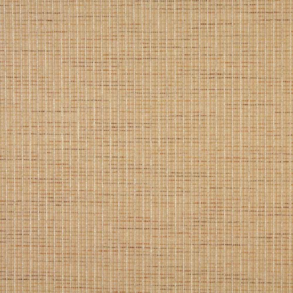 6454 Sand by Charlotte Fabric Ring Book Page #59 46% Acrylic, 44% Polyester, 10% Olefin Made In USA Exceeds 90,000 Wyzenbeek Rubs (Heavy Duty) No Repeat 54 Inches - Fabric Carolina -