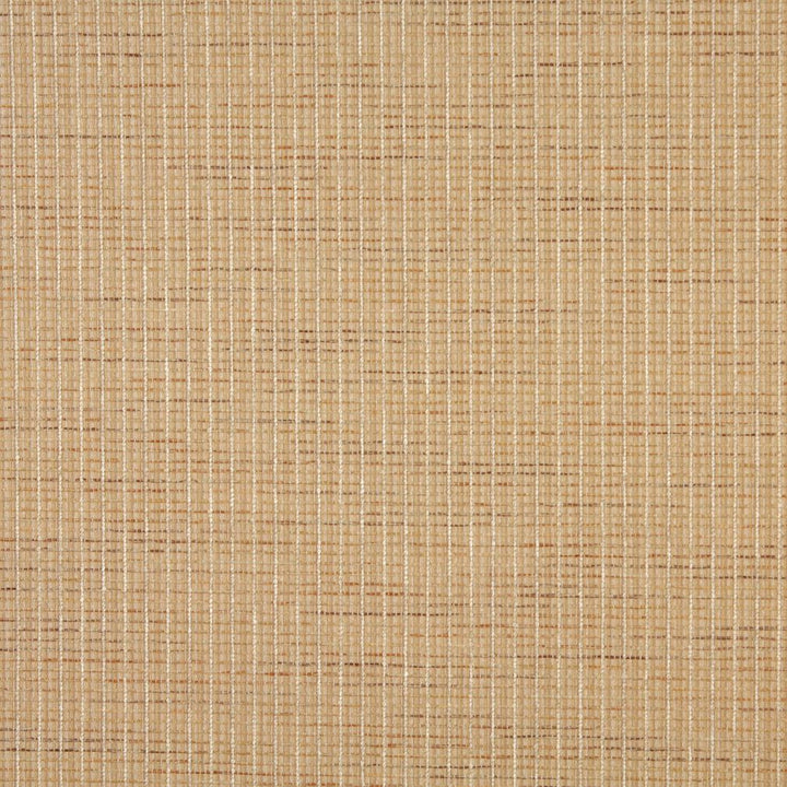 6454 Sand by Charlotte Fabric Ring Book Page #59 46% Acrylic, 44% Polyester, 10% Olefin Made In USA Exceeds 90,000 Wyzenbeek Rubs (Heavy Duty) No Repeat 54 Inches - Fabric Carolina -