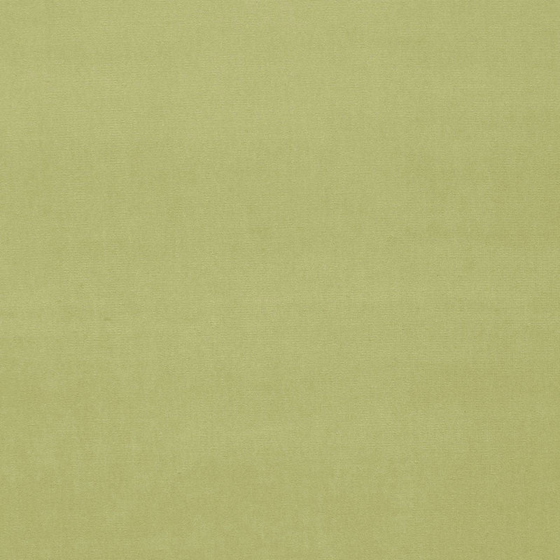 Gainsborough Velvet Ming 64575 by Schumacher Fabric GAINSBOROUGH VELVET COTTON 100% NETHERLANDS WYZENBEEK 40,000 </p><p>Repeat: Horizontal: and Vertical: 55 - Fabric Carolina -