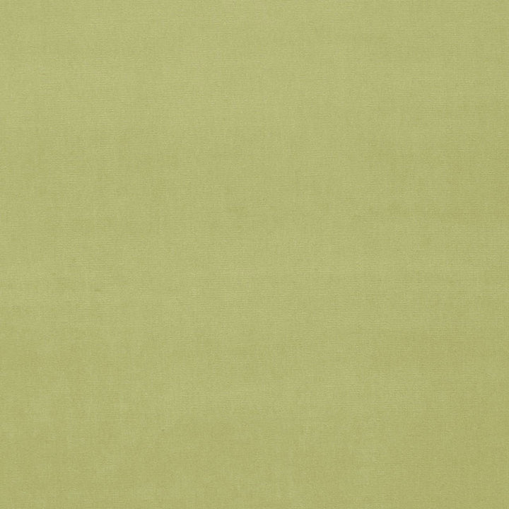 Gainsborough Velvet Ming 64575 by Schumacher Fabric GAINSBOROUGH VELVET COTTON 100% NETHERLANDS WYZENBEEK 40,000 </p><p>Repeat: Horizontal: and Vertical: 55 - Fabric Carolina -