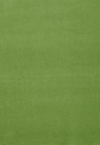 Gainsborough Velvet Grass 64576 by Schumacher Fabric