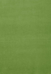 Gainsborough Velvet Grass 64576 by Schumacher Fabric