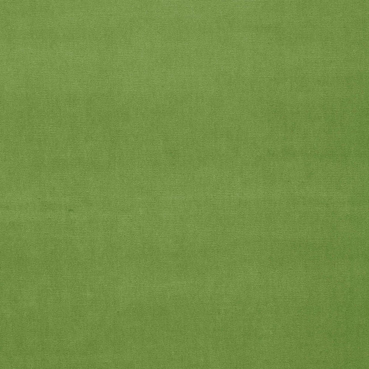 Gainsborough Velvet Grass 64576 by Schumacher Designer Fabric GAINSBOROUGH VELVET See Sample NETHERLANDS HEAVY DUTY </p><p>Repeat: Horizontal: - and Vertical: - 55" WIDE (140CM) - Swanky Fabrics -