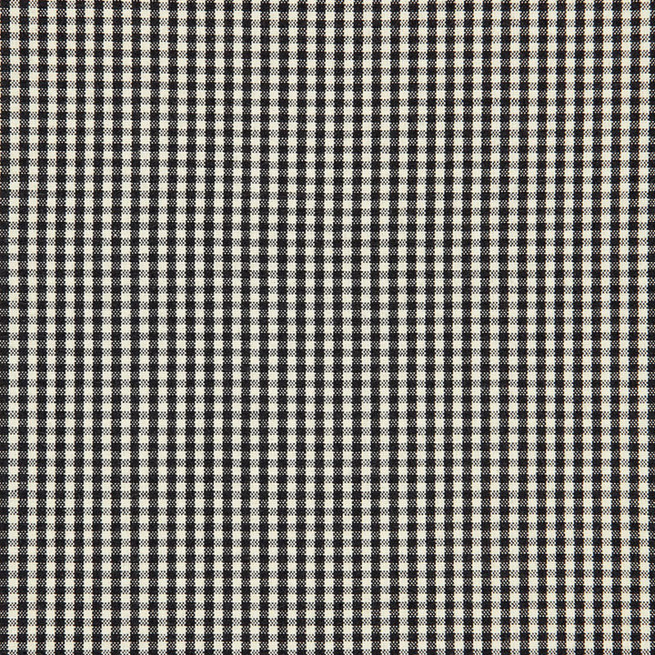 Barnet Cotton Check Ebony 64627 by Schumacher Fabric CHROMA See Sample INDIA LIGHT DUTY </p><p>Repeat: Horizontal: 1/8" (0CM) and Vertical: 1/8" (0CM) 54" WIDE (137CM) - Fabric Carolina -