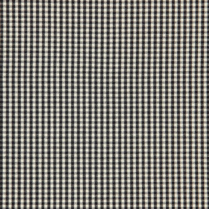 Barnet Cotton Check Ebony 64627 by Schumacher Fabric