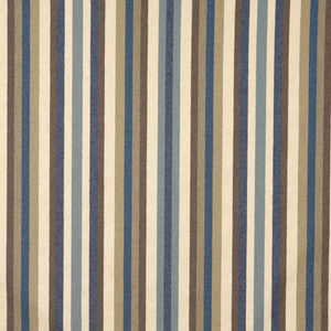 6462 Denim Stripe by Charlotte Fabric
