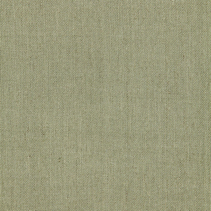 Beckton Weave Basil 64647 by Schumacher Fabric CHROMA See Sample INDIA LIGHT DUTY </p><p>Repeat: Horizontal: - and Vertical: - 53" WIDE (135CM) - Fabric Carolina -