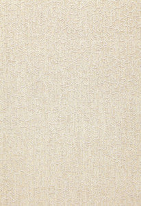 Vermicelli Embroidery Vellum 64671 by Schumacher Fabric
