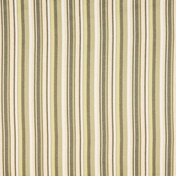 6470 Sage by Charlotte Fabric Ring Book Page #53 47% Olefin, 24% Polyester, 21% Cotton, 8% Acrylic Made In USA Exceeds 110,000 Wyzenbeek Rubs (Heavy Duty) Horizontal: 4.5" 54 Inches - Fabric Carolina -