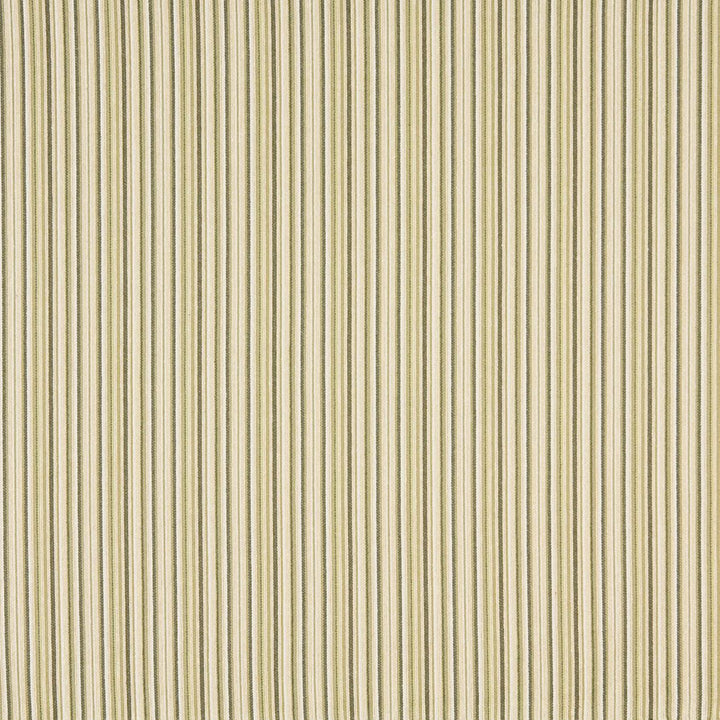 6474 Pesto by Charlotte Fabric Ring Book Page #53 47% Olefin, 24% Polyester, 21% Cotton, 8% Acrylic Made In USA Exceeds 110,000 Wyzenbeek Rubs (Heavy Duty) Horizontal: 2.75" 54 Inches - Fabric Carolina -