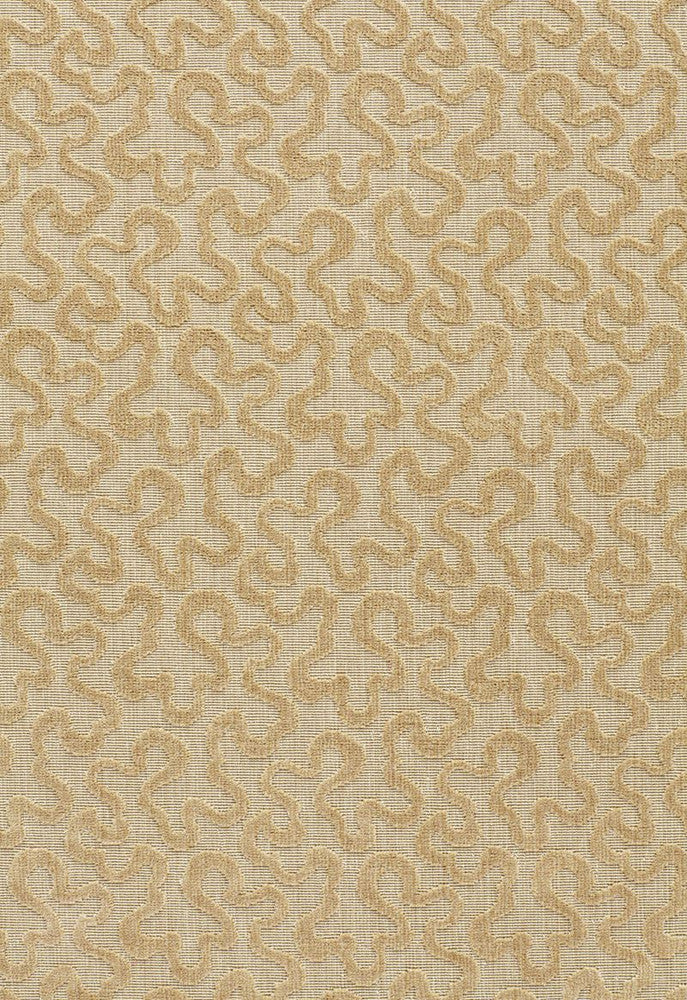 Vermicelli Velvet Camel 64764 by Schumacher Fabric Chroma 100% Cotton Martindale 25,000 Horizontal: 3.375 and Vertical: 4.75 54 - Fabric Carolina -
