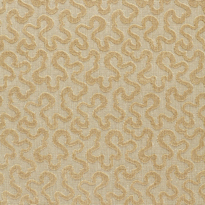 Vermicelli Velvet Camel 64764 by Schumacher Fabric CHROMA See Sample BELGIUM MEDIUM DUTY </p><p>Repeat: Horizontal: 3 3/8" (9CM) and Vertical: 4 3/4" (12CM) 54" WIDE (137CM) - Fabric Carolina -
